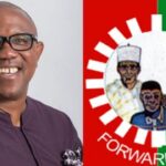 peter obi labour party